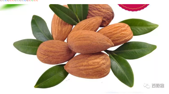 貴族堅(jiān)果-加州扁桃仁(圖1)