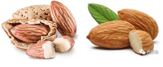 貴族堅(jiān)果-加州扁桃仁(圖10)